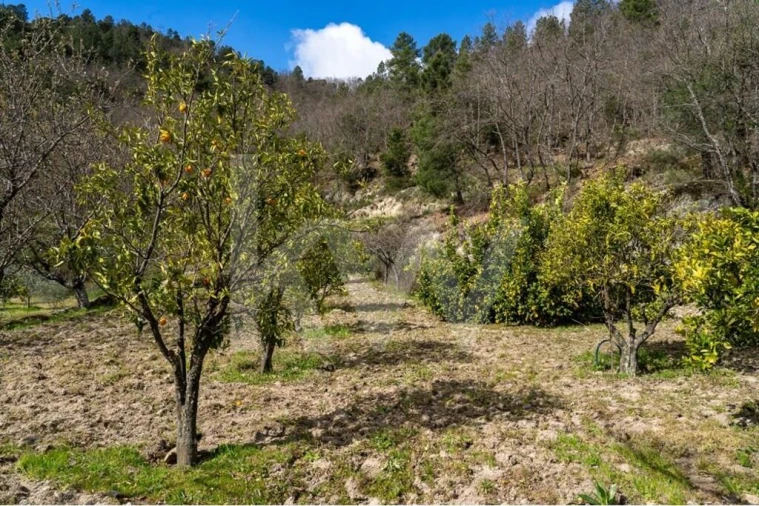 Quinta T8 para Venda em Belmonte e Colmeal da Torre Foto 73