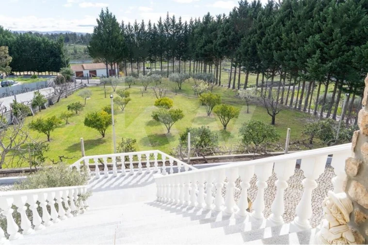 Quinta T8 para Venda em Belmonte e Colmeal da Torre Foto 47