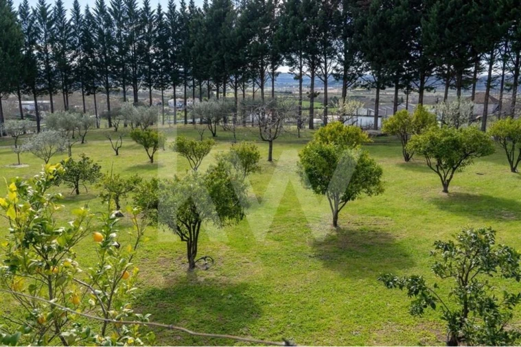 Quinta T8 para Venda em Belmonte e Colmeal da Torre Foto 12