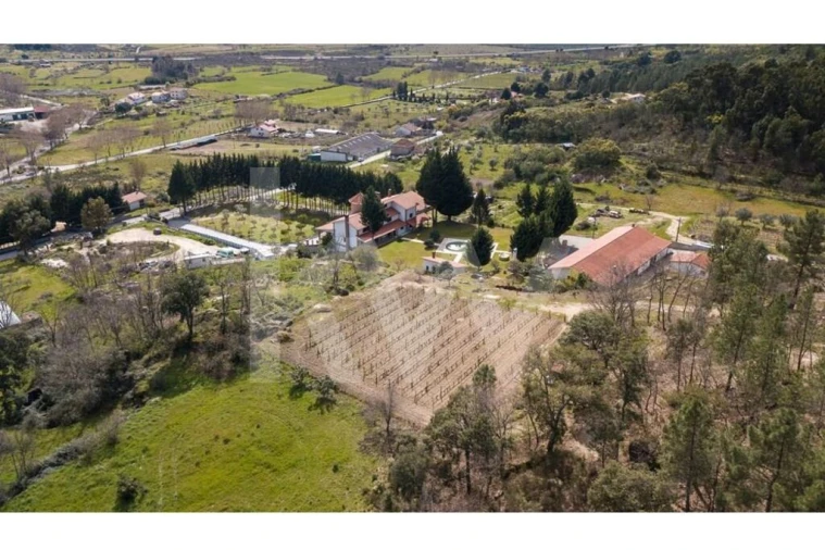 Quinta T8 para Venda em Belmonte e Colmeal da Torre Foto 82