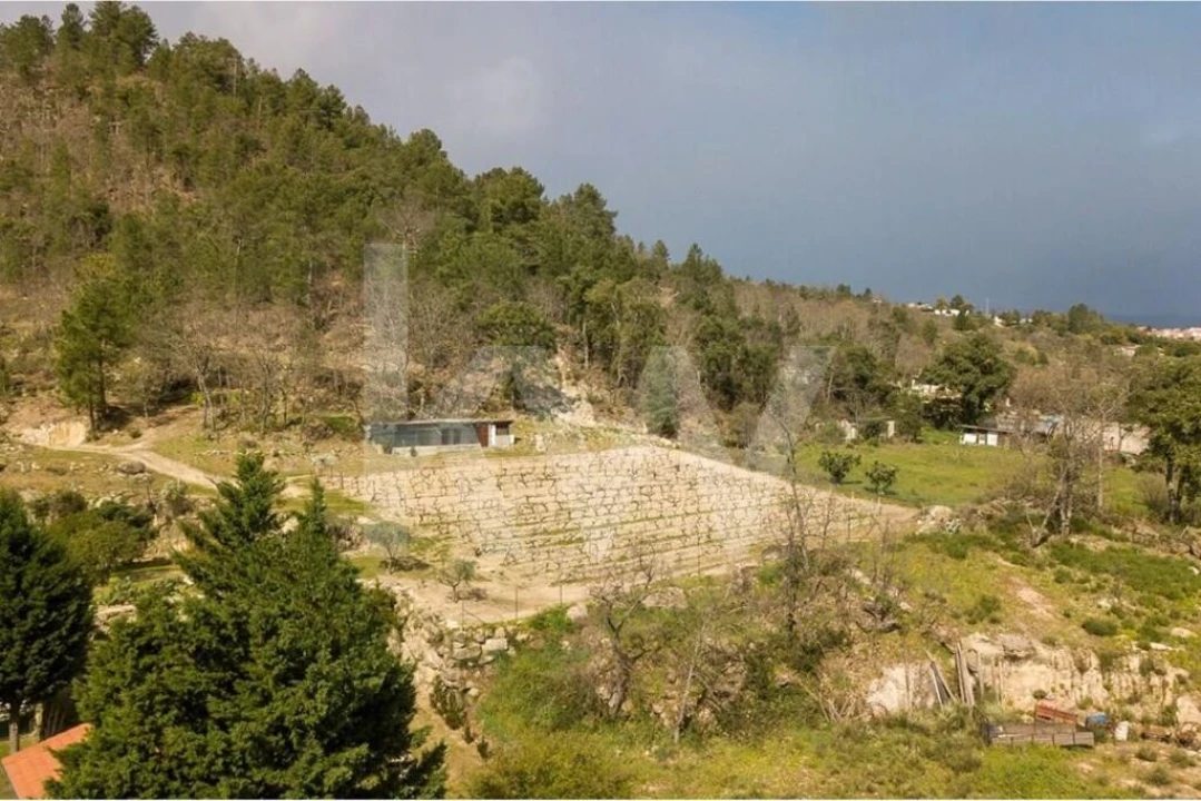 Quinta T8 para Venda em Belmonte e Colmeal da Torre Foto 81