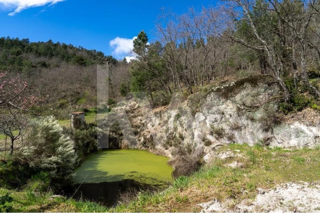 Quinta T8 para Venda em Belmonte e Colmeal da Torre Foto 76
