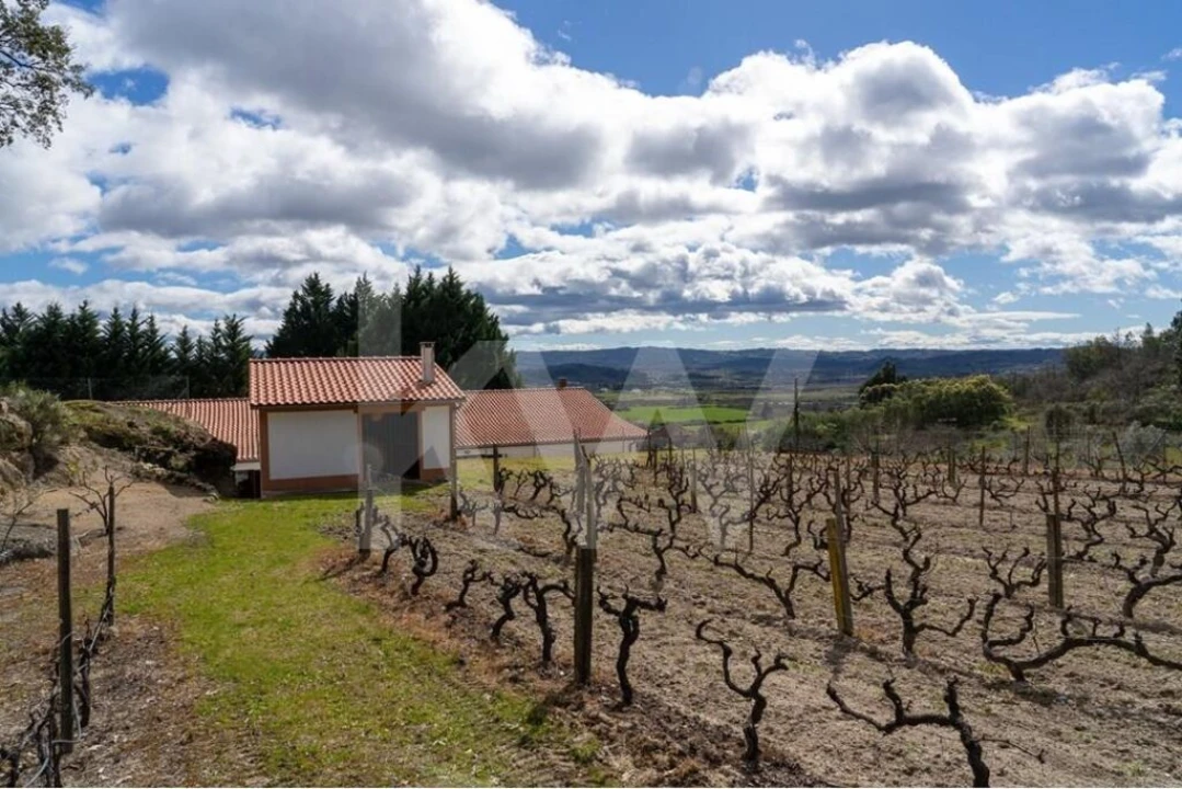 Quinta T8 para Venda em Belmonte e Colmeal da Torre Foto 78