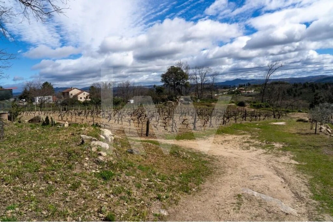 Quinta T8 para Venda em Belmonte e Colmeal da Torre Foto 80