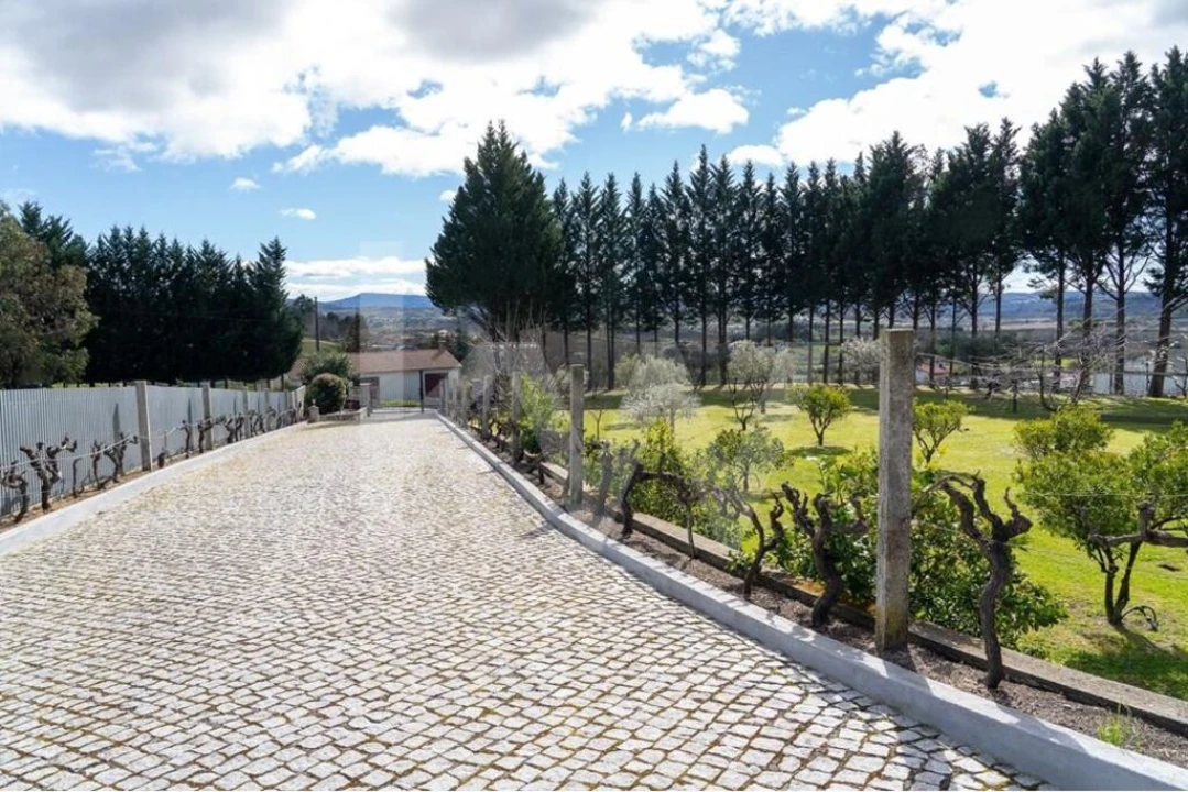 Quinta T8 para Venda em Belmonte e Colmeal da Torre Foto 15