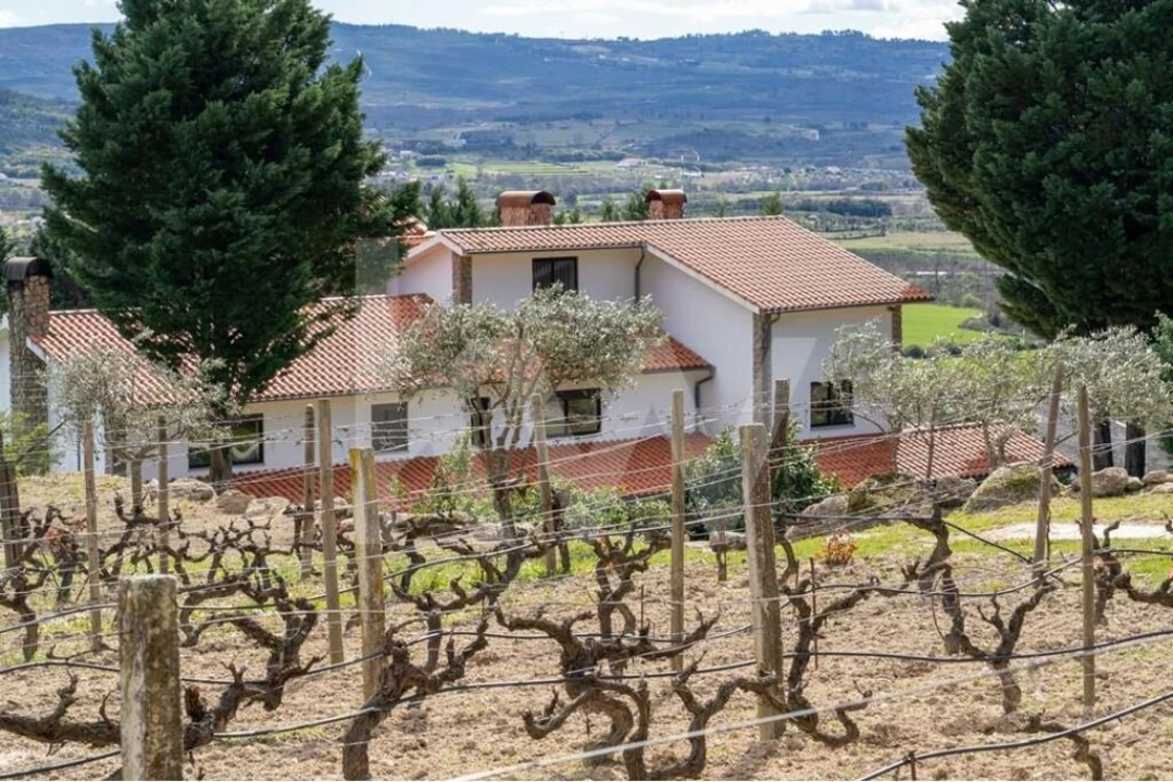 Quinta T8 para Venda em Belmonte e Colmeal da Torre Foto 79