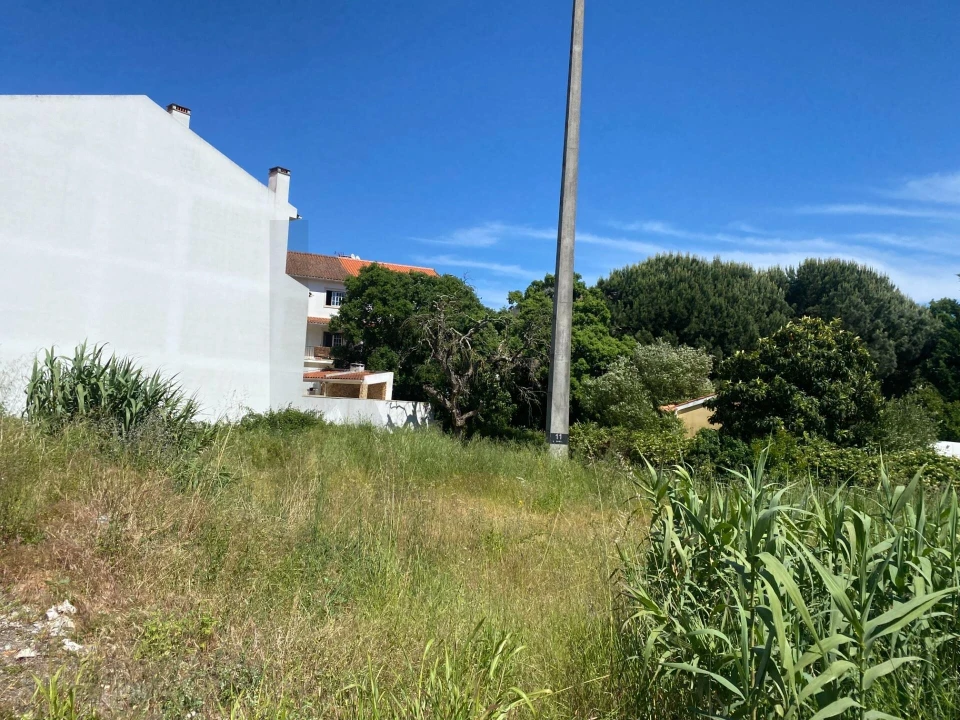 Terreno para Venda em Rio Maior Foto 8