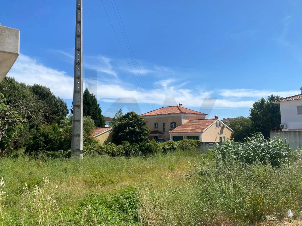 Terreno para Venda em Rio Maior Foto 9