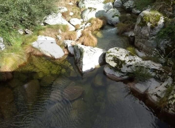 Moradia T4 para Venda em Sabugueiro Foto 26