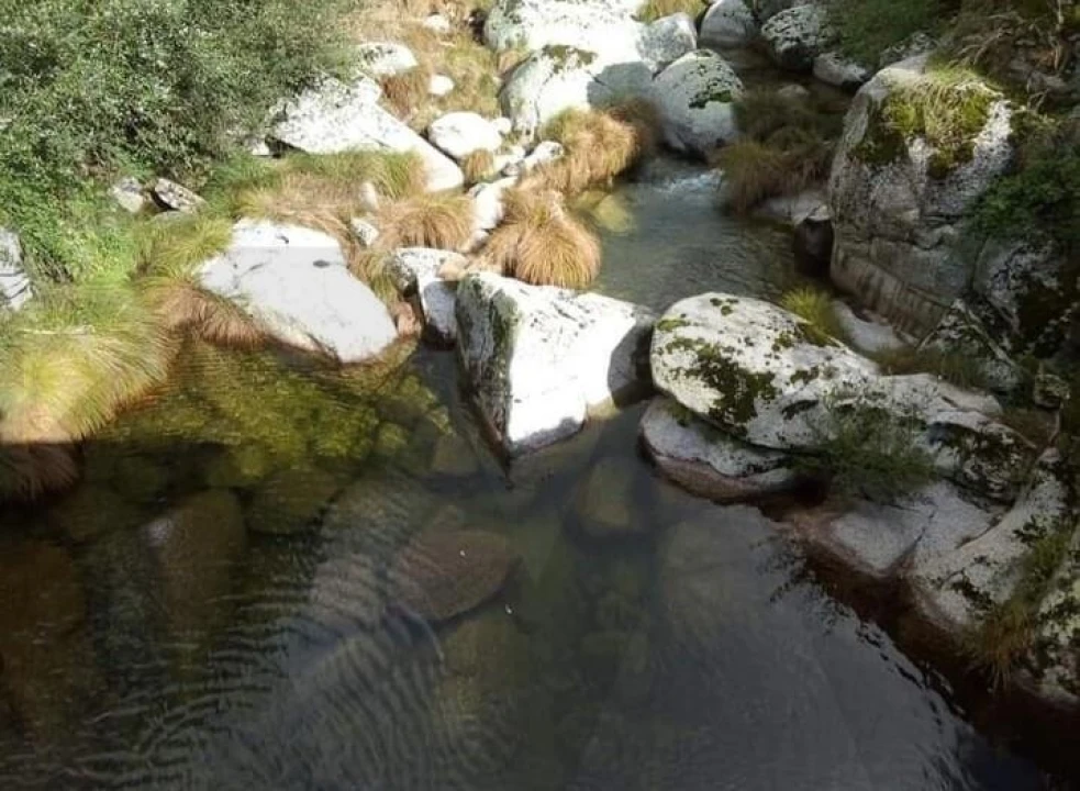 Moradia T4 para Venda em Sabugueiro Foto 26