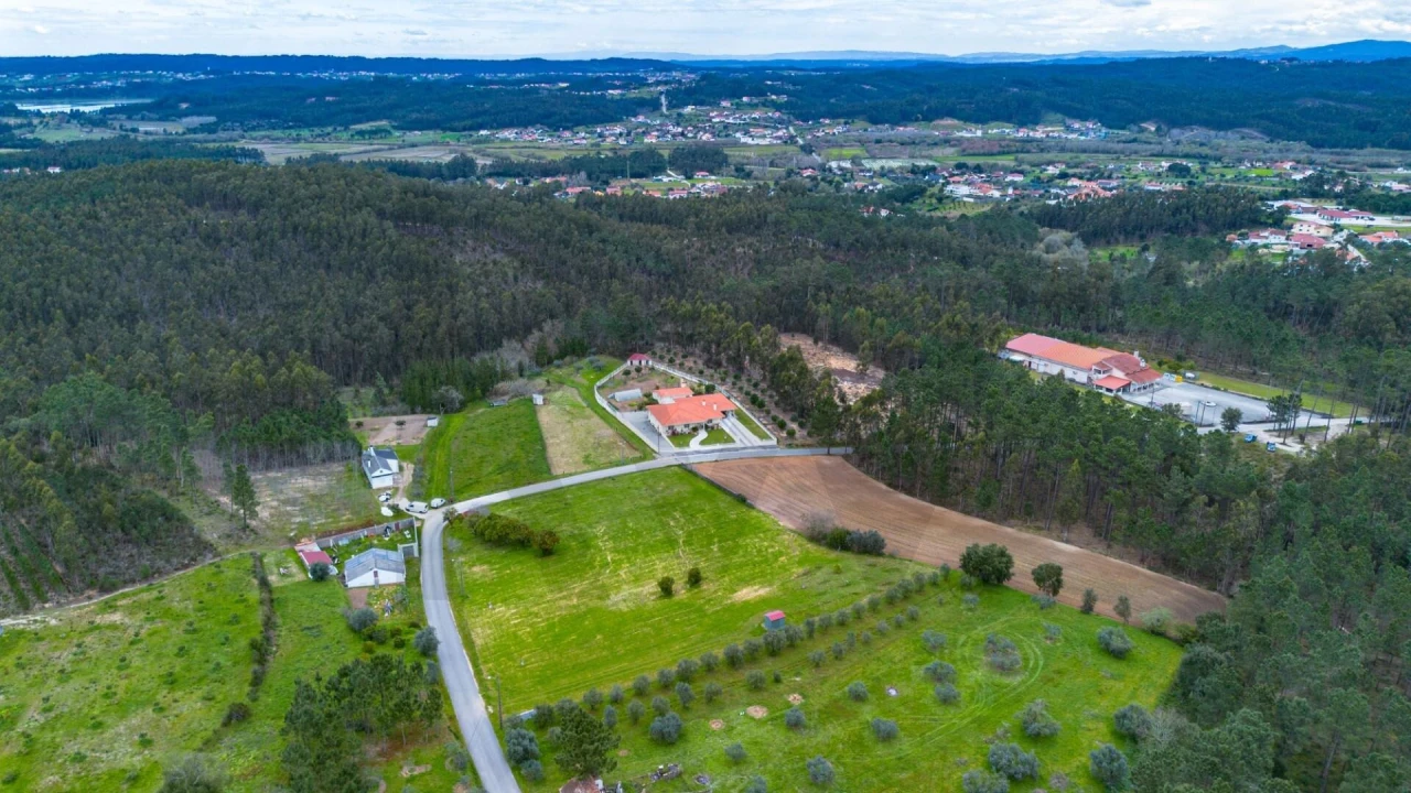 Terreno para Venda em Louriçal Foto 12