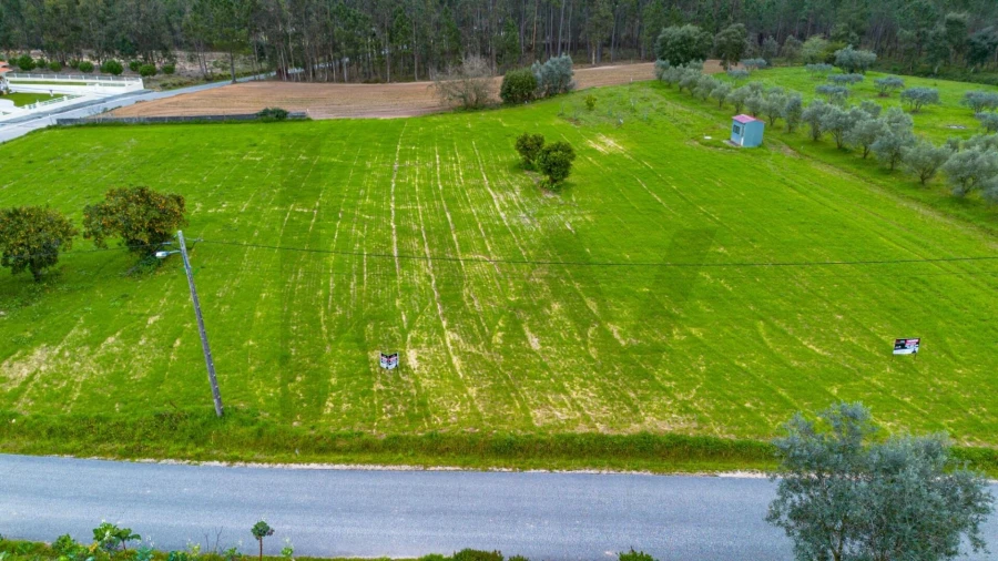 Terreno para Venda em Louriçal Foto 10