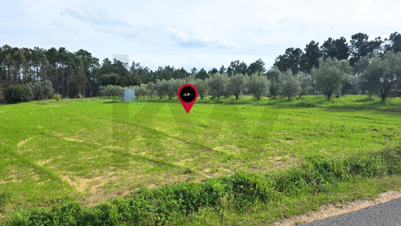 Terreno para Venda em Louriçal Foto 13