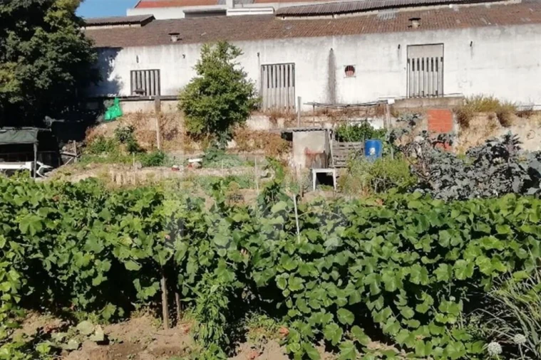 Terreno para Venda em União das Freguesias de Setúbal Foto 7