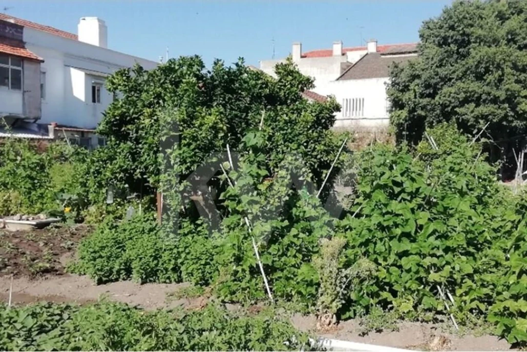 Terreno para Venda em União das Freguesias de Setúbal Foto 8