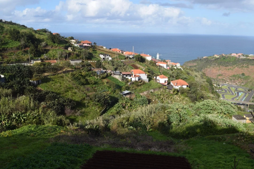 Terreno para Venda em São Roque do Faial Foto 16