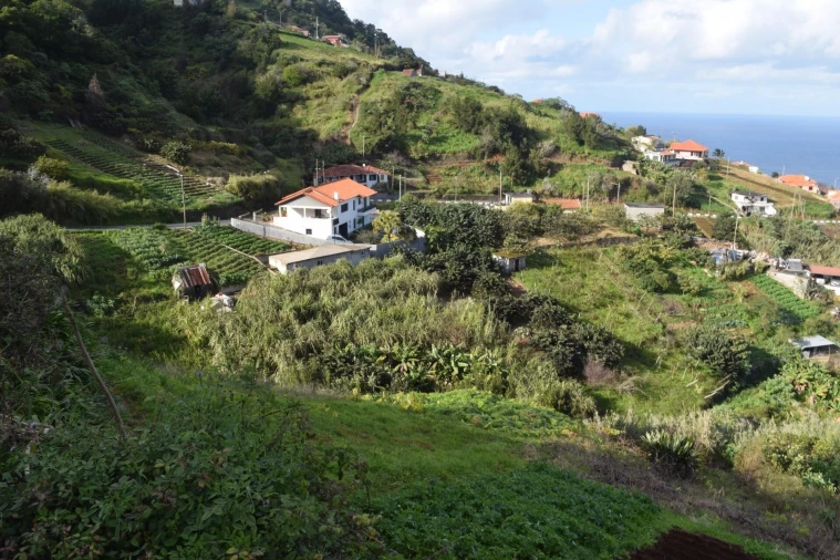Terreno para Venda em São Roque do Faial Foto 8