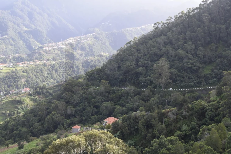 Terreno para Venda em São Roque do Faial Foto 2