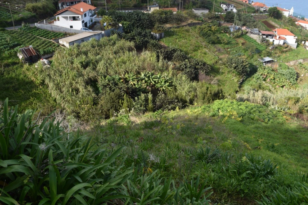 Terreno para Venda em São Roque do Faial Foto 17