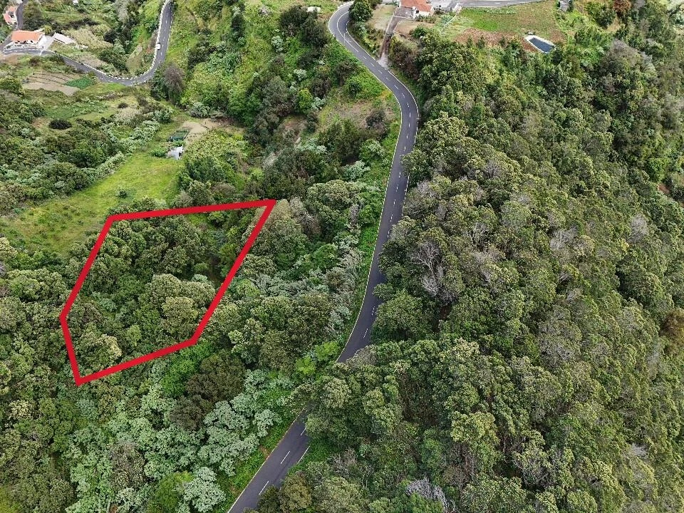 Terreno para Venda em São Roque do Faial Foto 24
