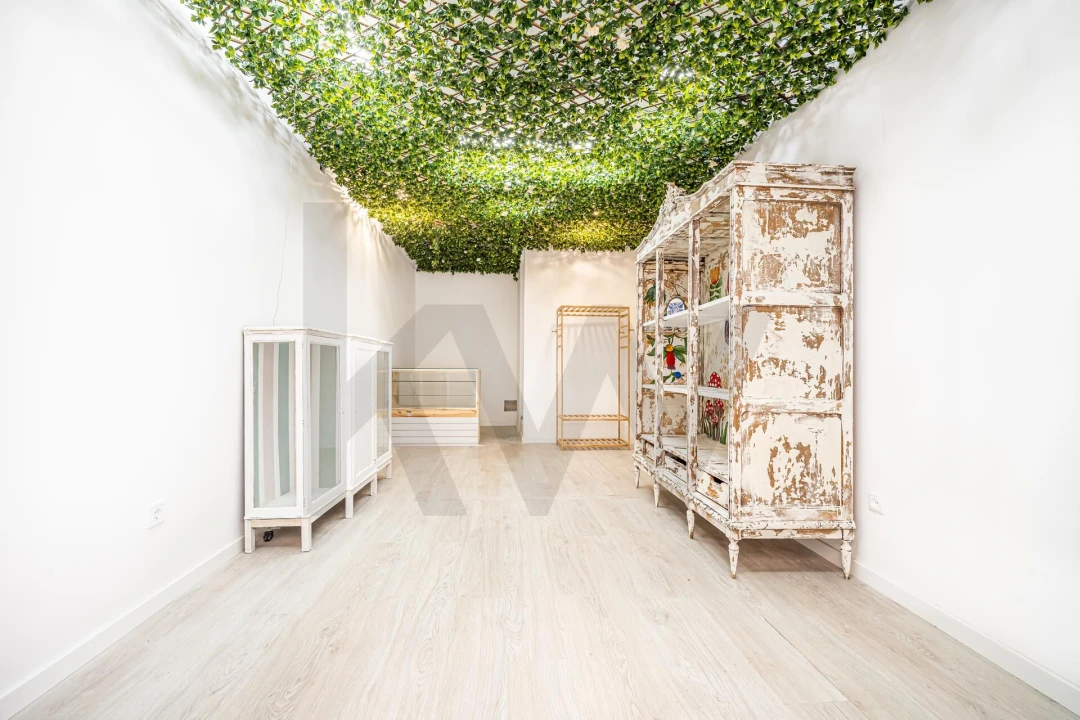 Loja para Trespasse em Misericórdia Foto 13