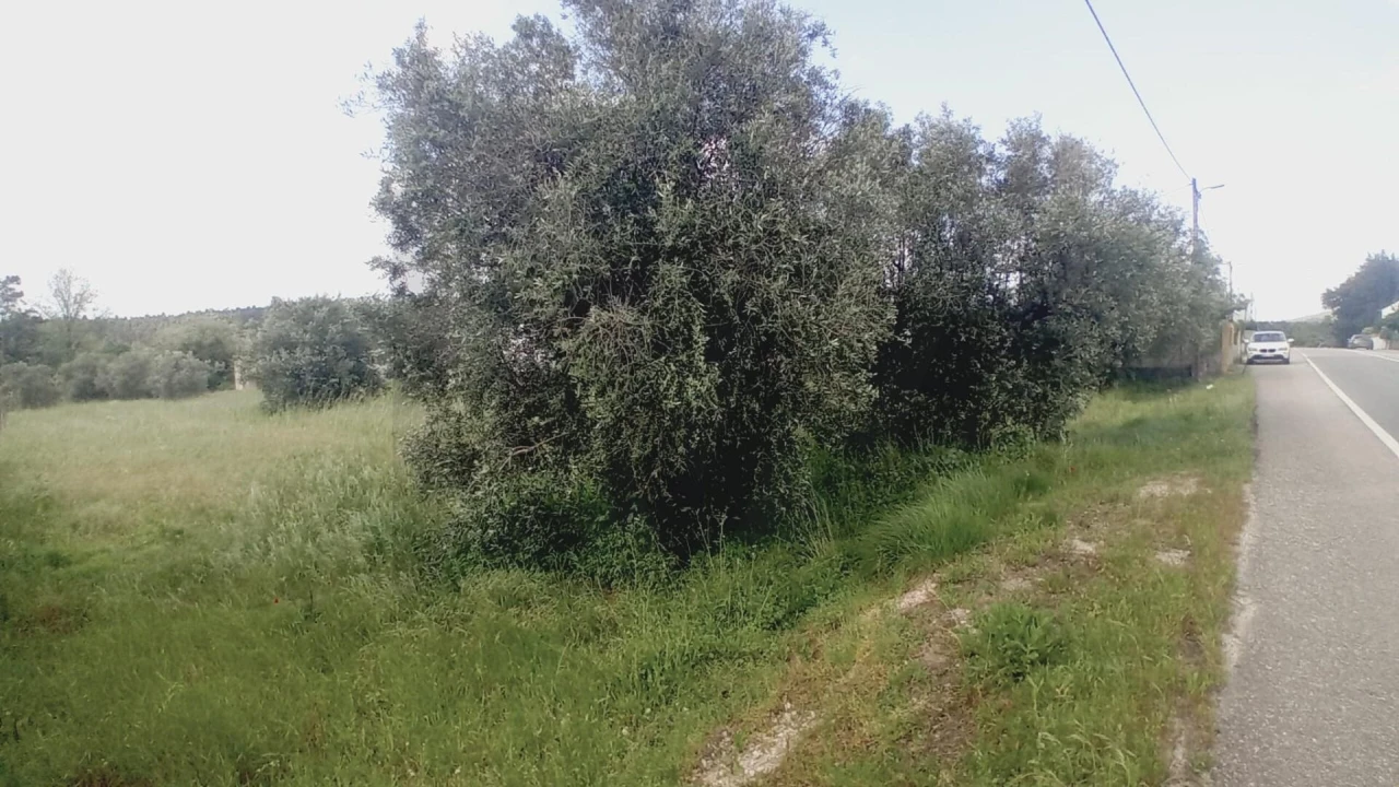 Terreno para Venda em Tapeus Foto 3