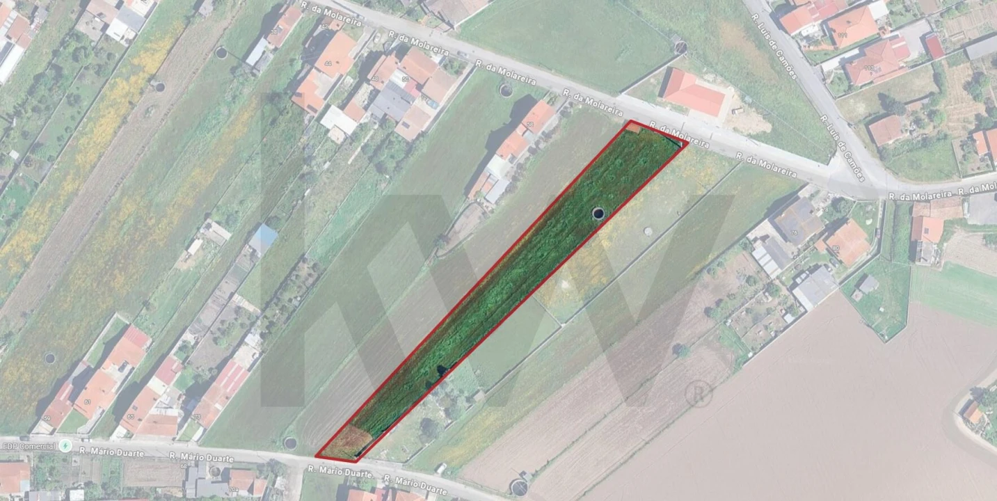 Terreno para Venda em Santa Joana Foto 9