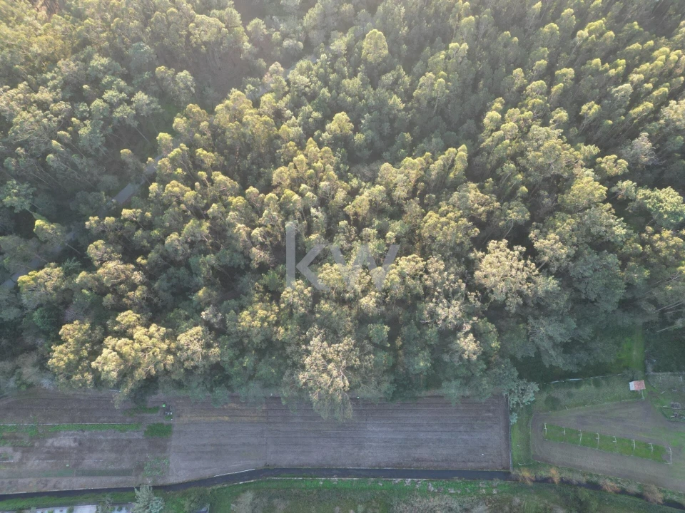 Terreno para Venda em Apúlia e Fão Foto 16