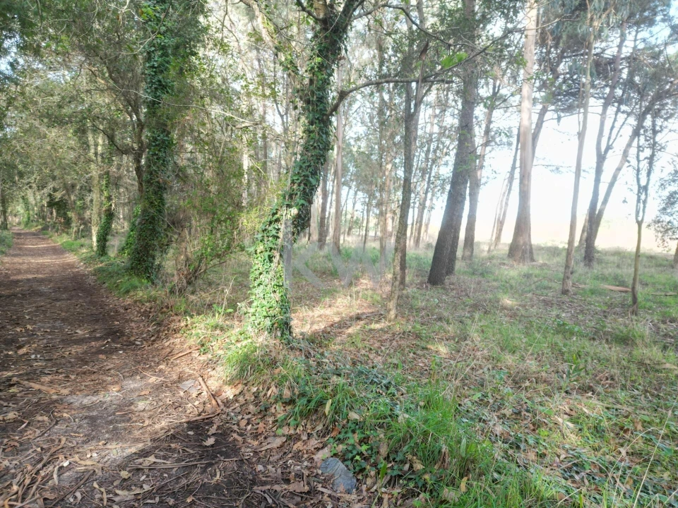 Terreno para Venda em Apúlia e Fão Foto 1