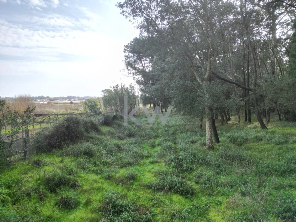 Terreno para Venda em Apúlia e Fão Foto 9