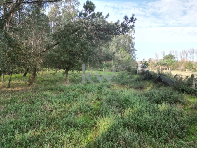 Terreno para Venda em Apúlia e Fão Foto 7
