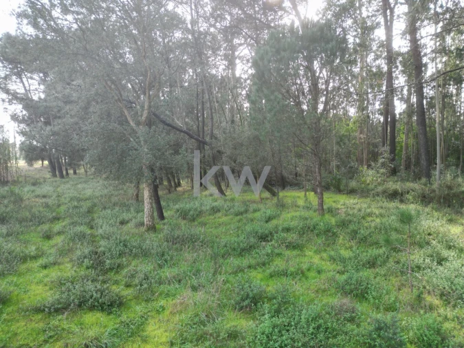 Terreno para Venda em Apúlia e Fão Foto 10