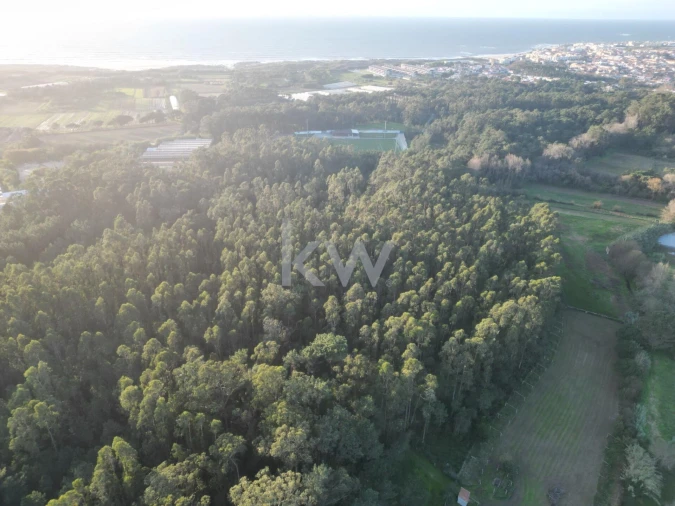 Terreno para Venda em Apúlia e Fão Foto 18