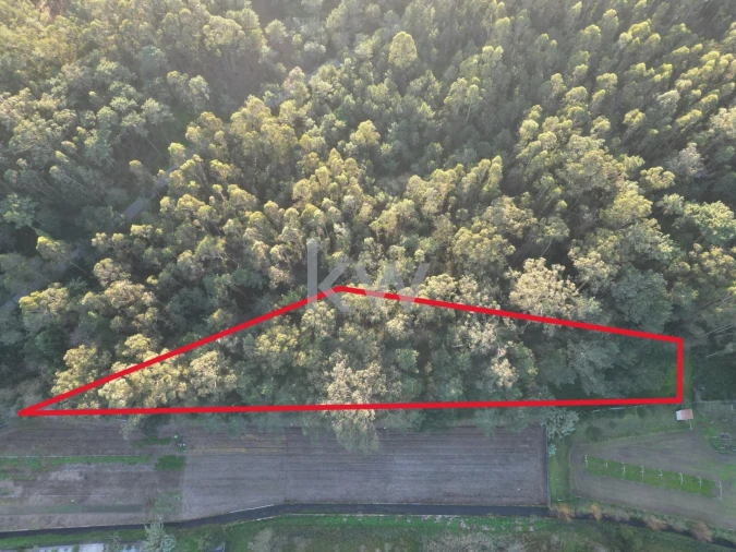 Terreno para Venda em Apúlia e Fão Foto 17