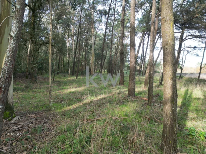 Terreno para Venda em Apúlia e Fão Foto 5