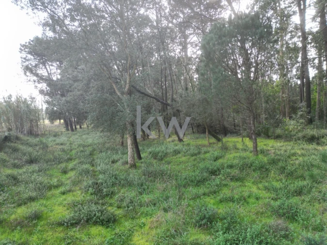 Terreno para Venda em Apúlia e Fão Foto 8