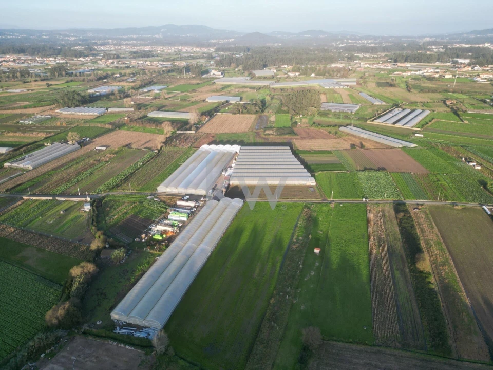 Terreno para Venda em Apúlia e Fão Foto 19