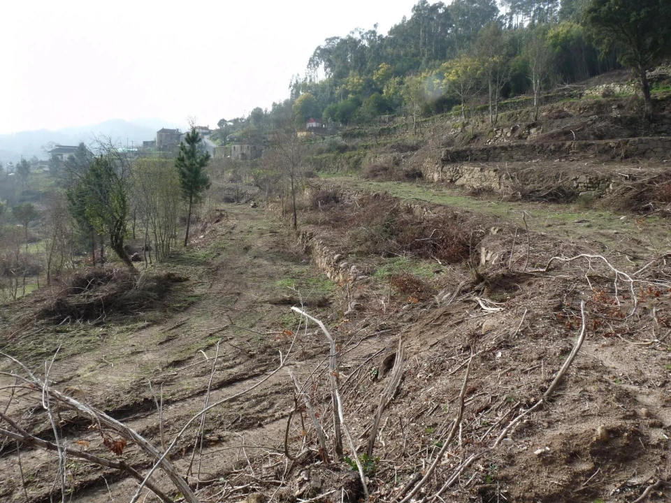 Moradia T4 para Venda em Penhalonga e Paços de Gaiolo Foto 9