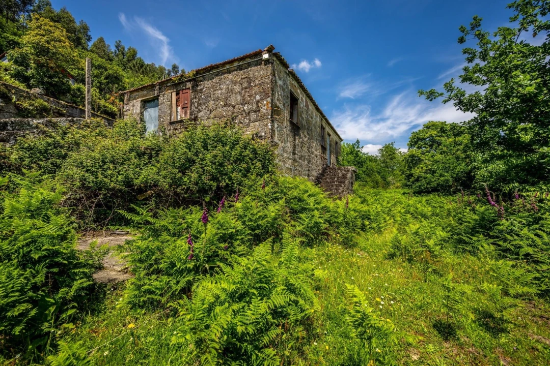 Moradia T4 para Venda em Penhalonga e Paços de Gaiolo Foto 6