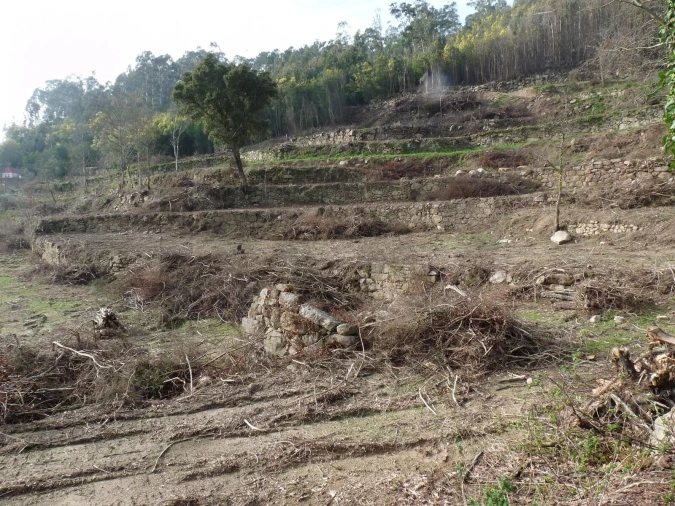 Moradia T4 para Venda em Penhalonga e Paços de Gaiolo Foto 10