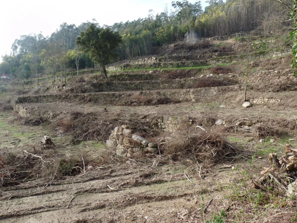 Moradia T4 para Venda em Penhalonga e Paços de Gaiolo Foto 10
