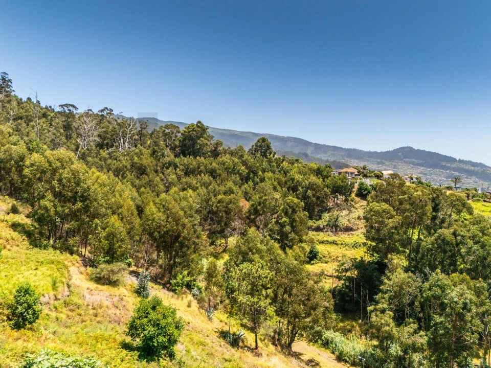 Moradia T1 para Venda em Estreito da Calheta Foto 19