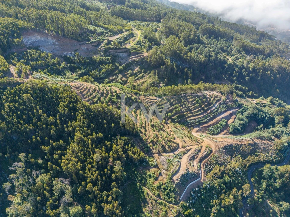 Terreno para Venda em Jardim da Serra Foto 13