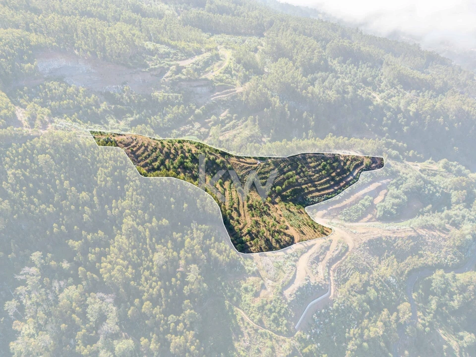 Terreno para Venda em Jardim da Serra Foto 2