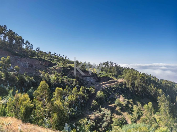 Terreno para Venda em Jardim da Serra Foto 5