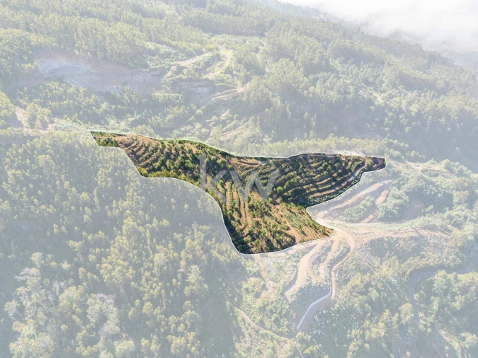 Terreno para Venda em Jardim da Serra Foto 2