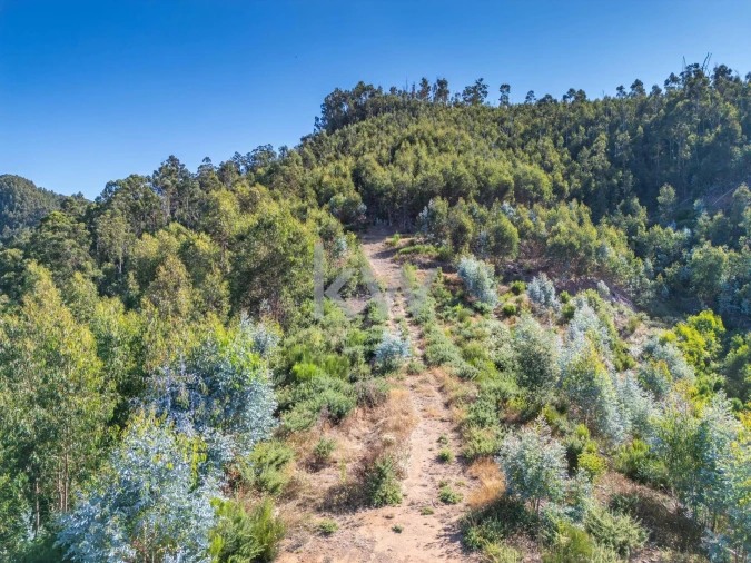 Terreno para Venda em Jardim da Serra Foto 9