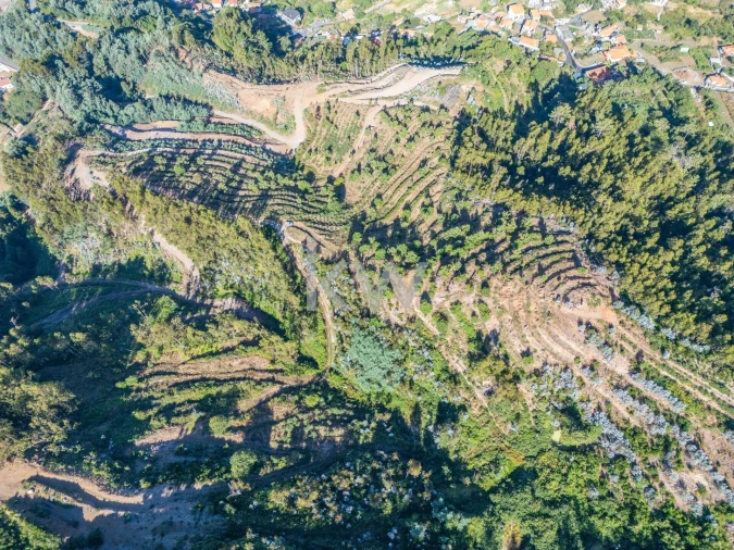 Terreno para Venda em Jardim da Serra Foto 3