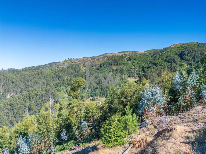 Terreno para Venda em Jardim da Serra Foto 8