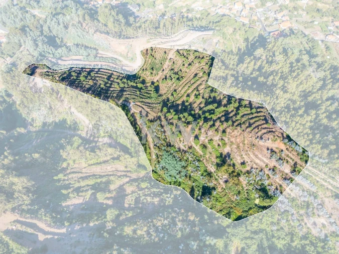 Terreno para Venda em Jardim da Serra Foto 1